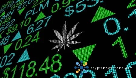 أدى التحول في سياسة إدارة الغذاء والدواء الأمريكية (CBD) إلى ارتفاع هائل في مخزونات القنب
