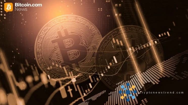 Strive meldet 15.009 Bitcoin, null Schulden nach der Semler-Fusion und dem Rückkauf von Anleihen