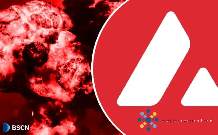 Avalanche 见证了链上的大规模增长