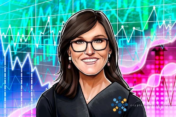 شركة الاستثمار ARK تنفق أموالاً طائلة على أسهم Robinhood وسط شراكة حكومية لمراقبة الشؤون المالية للرئيس السابق