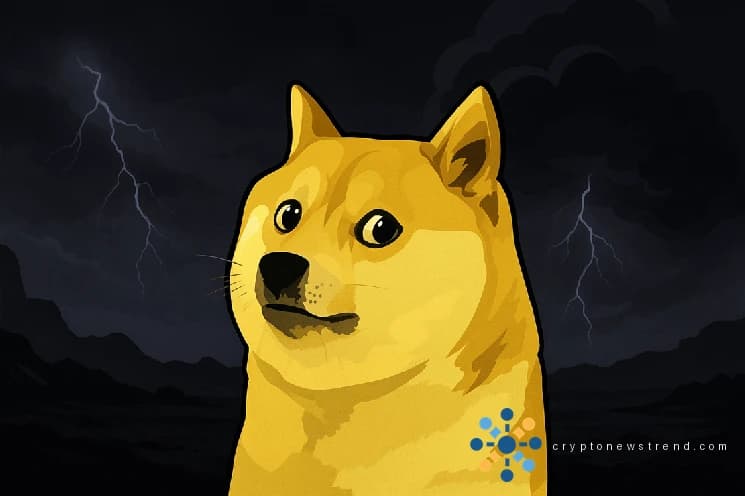 Dogecoin Social Buzz acaba de colapsar: esto es lo que muestran los datos