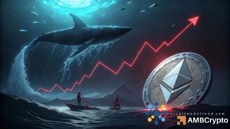 Ethereum voit 246 millions de dollars de liquidations – L'ETH peut-il détenir un support de 2015 $ ?