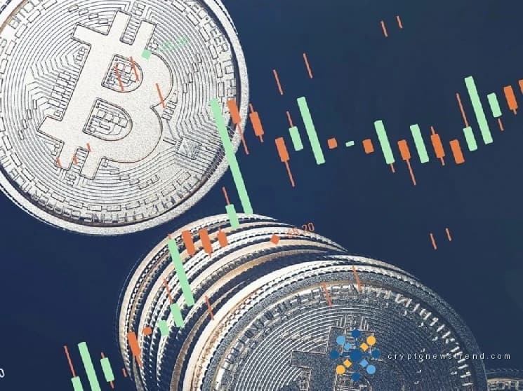 Bitcoin کی بلاکچین سرگرمی سے تازہ بصیرتیں ابھرتی ہیں: حالیہ رجحانات پر گہری نظر