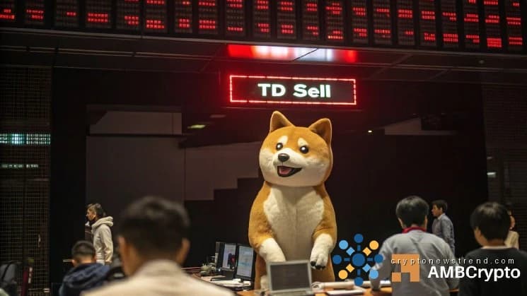 Dogecoin zeigt Warnung nahe 0,109 $ an – Können Bullen DIESE Zone verteidigen?