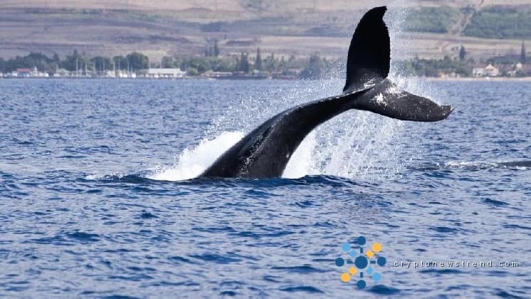 Casi $120 millones de XRP acaban de trasladarse a Coinbase en una transacción de ballenas