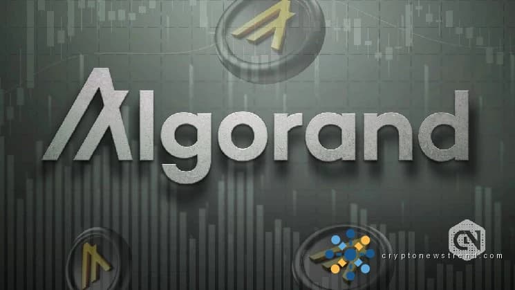 گوگل کوانٹم AI نوڈ پر الگورنڈ کی قیمت چھلانگ لگاتی ہے، Altcoin کی گردش لیڈ کرتی ہے۔