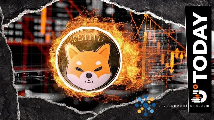 Shiba Inu burn reaches 4.99M, but rate stalls