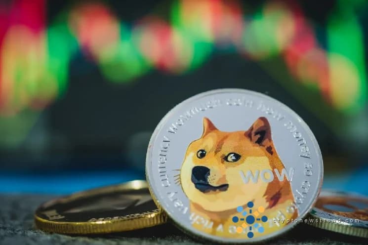 ¿Seguro o sospechoso? Qué significa la asociación de Wealthsimple con X para DOGE