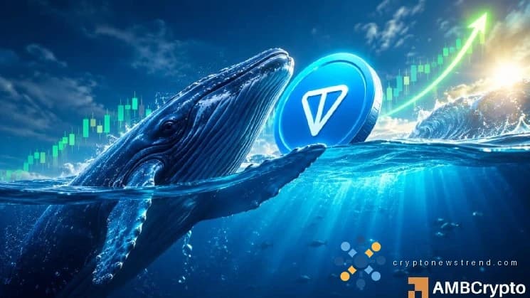 المستثمر الرئيسي يخفض مبلغ 5 ملايين دولار على Toncoin، مما يثير الآمال في تجاوز عتبة 3 دولارات