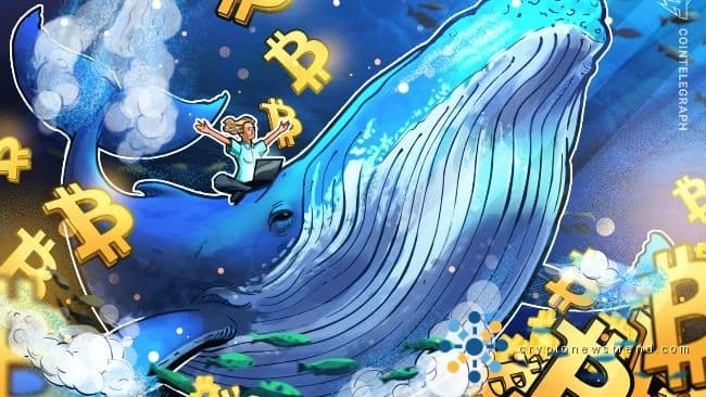Major cryptocurrency investors bolster their portfolios to levels unseen since summer, sparking speculation of a potential surge towards the $80,000 milestone.