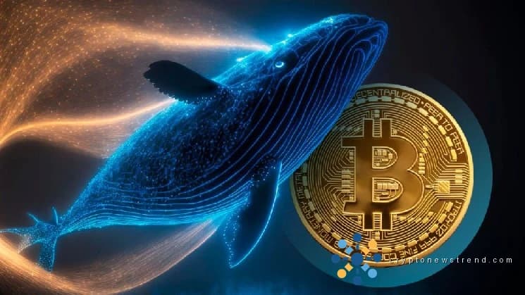 Bitfinex وہیلز، Bitcoin (BTC) کی قیمت کے خلاف حرکت کرتے ہوئے، ڈھائی سالوں میں سب سے بڑا اقدام کیا! BTC کے لیے اس کا کیا مطلب ہے؟