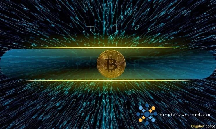 يقفز نشاط شبكة Bitcoin إلى أعلى، فهل ستتبعه أسعار BTC؟