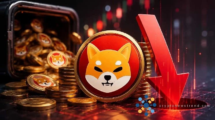 Exchanges See Surge in SHIB Inflows Amid Rapid Liquidation by Shiba Inu Investors