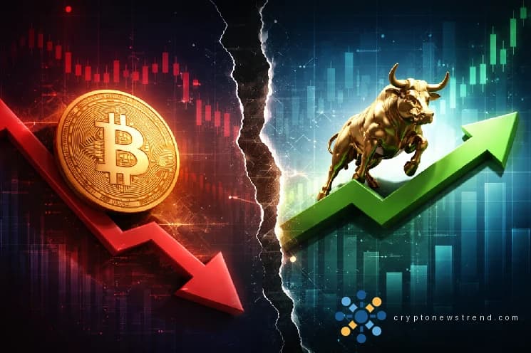 Bitcoin ist gerade von dem Abwärtstrend abgewichen, der im Januar begann, und als nächstes könnten 86.000 US-Dollar anstehen