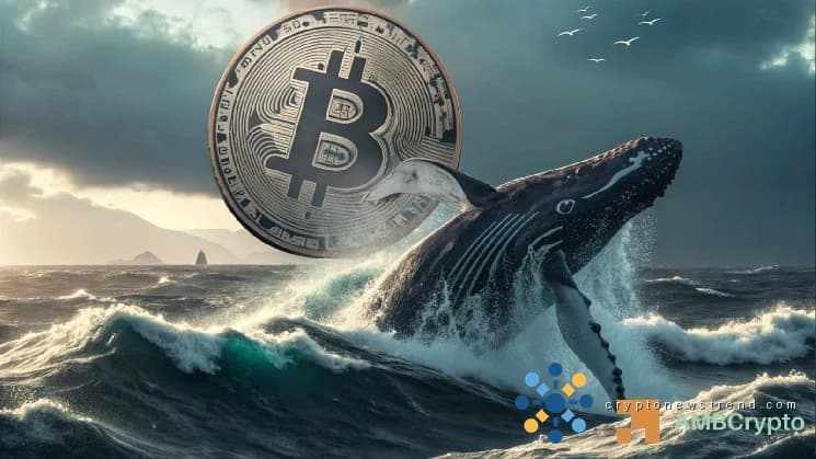 حيتان البيتكوين تحصد 4,527 بيتكوين خلال 24 ساعة – هل سيكون سعر 84.9 ألف دولار هو التالي؟