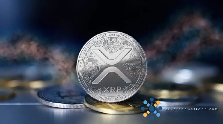 تم الكشف عن بيانات مثيرة للاهتمام للغاية، وتُظهر رقمًا قياسيًا جديدًا لـ XRP! هنا هي التفاصيل