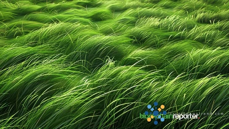 Grass Airdrop Farming Guide 2026: So positionieren Sie sich vor dem H1-Drop