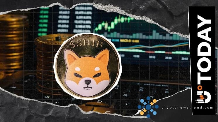 Shiba Inu Outpaces Bitcoin and XRP as OI Jumps 20%