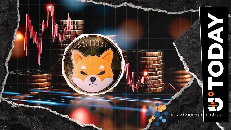 Shiba Inu (SHIB) ينخفض ​​بنسبة 93% عن ATH، هل الانعكاس في الأفق؟