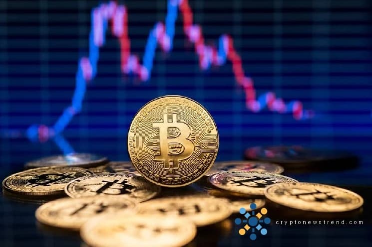 Le Crypto Gamble de Cardone remporte 45 millions de dollars