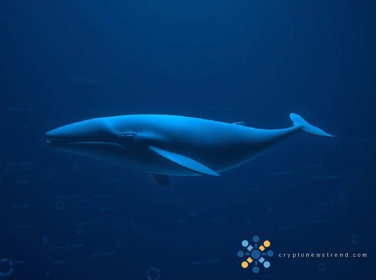 Ethereum Whale ajoute 4 677 ETH dans le cadre d'un achat de 9,9 millions de dollars, ses avoirs dépassent désormais 281 millions de dollars