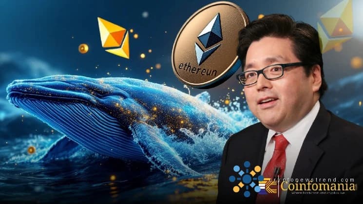 حيتان الإيثريوم تحرك 200 مليون دولار، هل توم لي وراء عملية الشراء؟