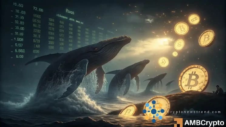 30 دنوں میں 270K BTC خریدا گیا - کیا بٹ کوائن ٹوٹنے کے لیے تیار ہے؟