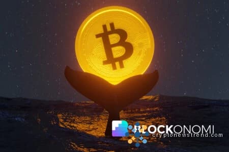 Bitcoin Decouples from S&P 500 as Market Correlation Turns Negative Mid-Cycle