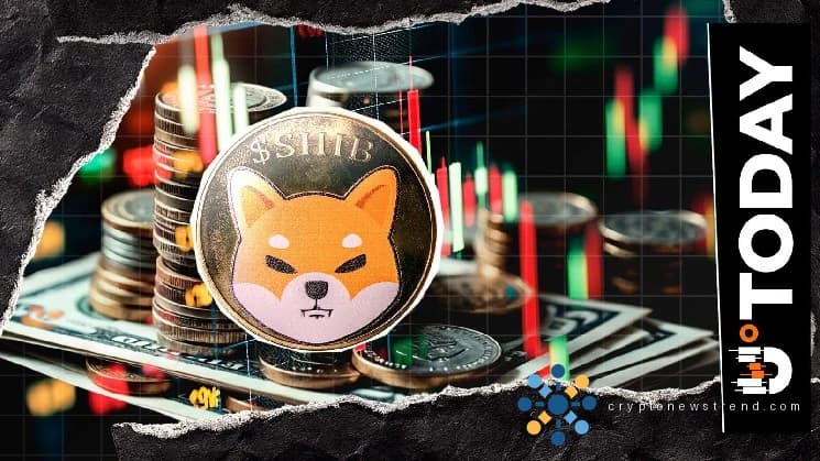 El mercado de Shiba Inu ve una desconexión misteriosa a medida que aumentan las apuestas de los inversores en medio de la espiral descendente de las monedas