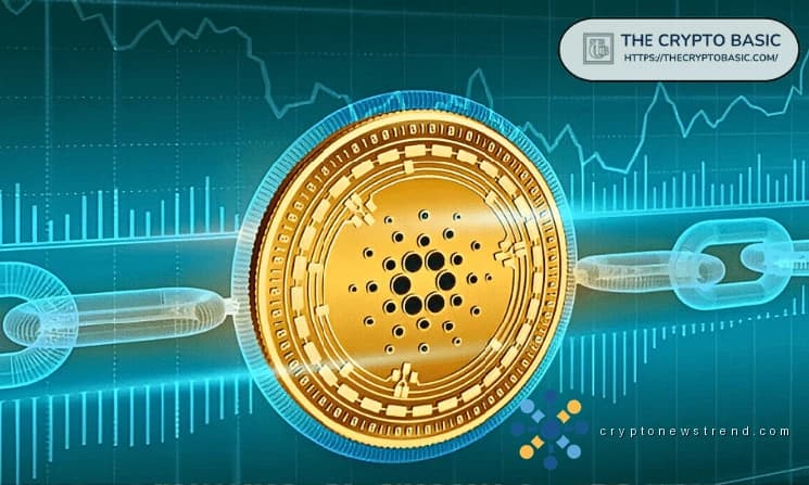 Top-Führungskräfte geben Tipps für zwei Kryptowährungen, die kaum bekannt sind, für nachhaltiges Wachstum und zukünftigen Erfolg