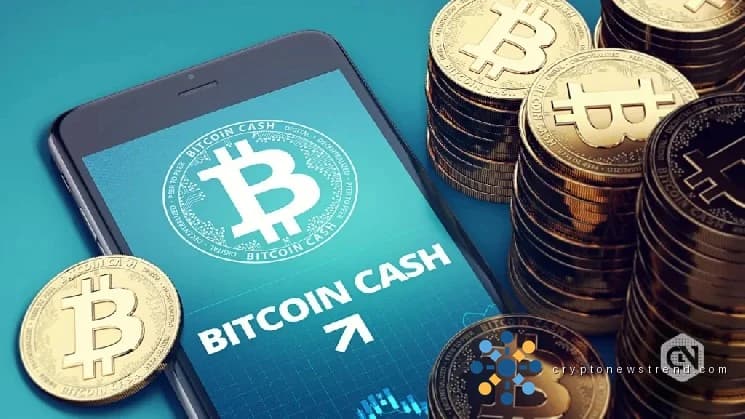 Целевая цена Bitcoin Cash ($BCH) составляет 520 долларов США по мере приближения обновления Layla