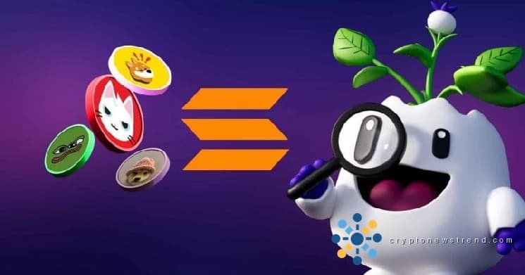 Solana Foundation president calls meme coins a production test net