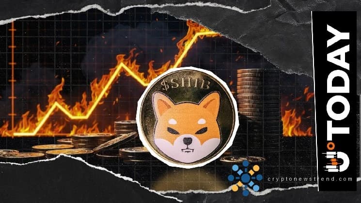 Shiba Inu Burn verzeichnet einen Anstieg der SHIB-Zerstörung um 710 % aufgrund von Angebotskürzungen