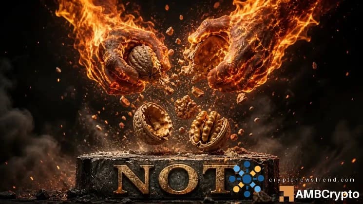 Notcoin durchbricht die 89-Tage-Spanne – Aber DIESE Signale erhöhen das Risiko einer Bullenfalle