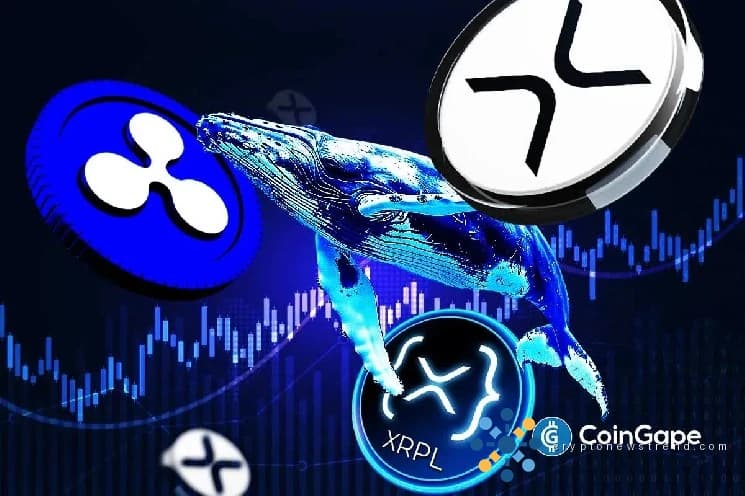 日本加密货币聚会吸引了 Ripple 的领导地位，激发了 XRP 最大持有者的乐观情绪