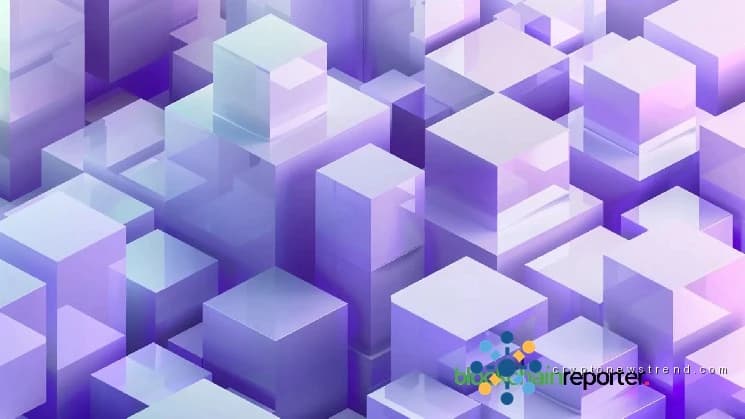 يتعاون مبتكر Blockchain XWINNER مع CodeField لإحداث ثورة في تحقيق الدخل من المحتوى من خلال الرمز المميز