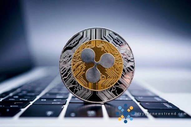 XRP's Downward Spiral: Key Support Levels That Could Stem the Decline