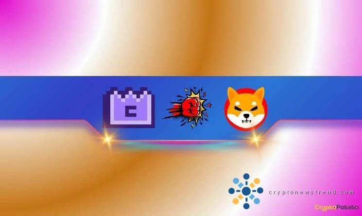 فقدت Shiba Inu (SHIB) مكانتها المرموقة مرة أخرى: هل العودة ممكنة؟