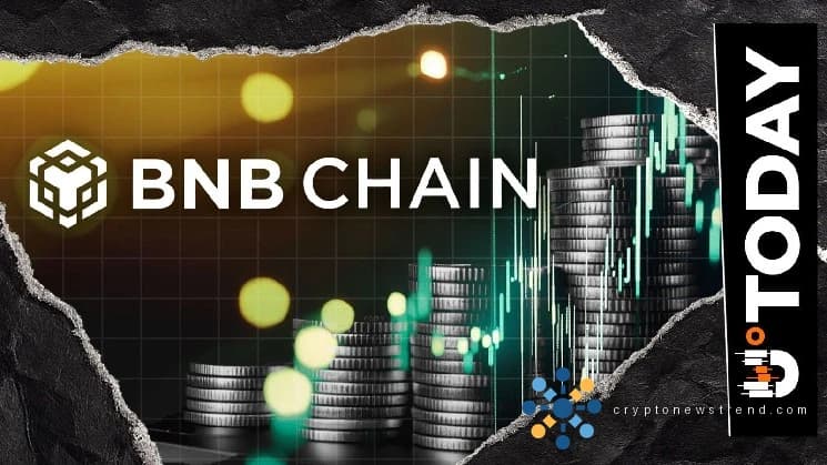 فعال ایڈریسز 50 ملین تک پہنچتے ہی BNB چین آنچین سرگرمی میں آگے ہے۔