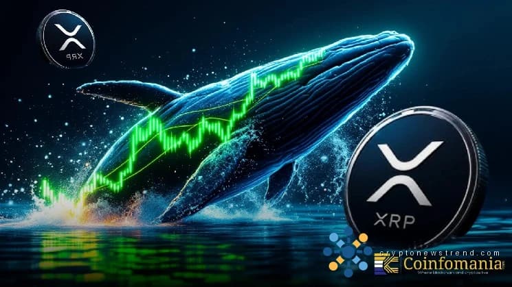 لماذا يتم تحميل حيتان XRP بهدوء عند مستويات قياسية؟