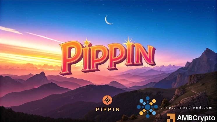 PIPPIN surges 16%, but the threat of a sharp reversal looms