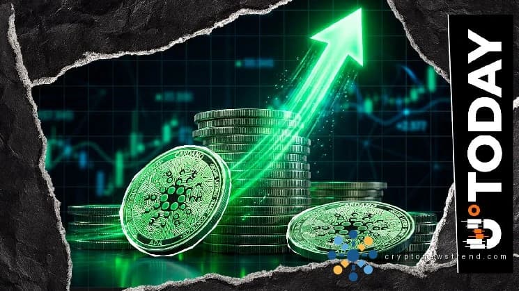 卡尔达诺 (ADA) 交易量激增 80%