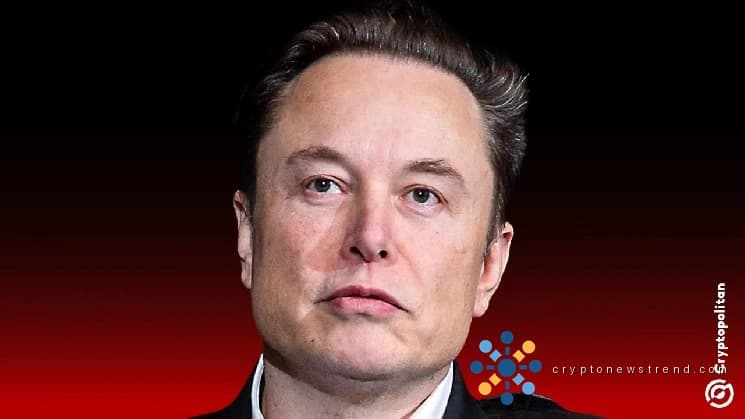 Во время своего выступления на OpenAI Илон сказал, что большинство криптопроектов являются мошенничеством.