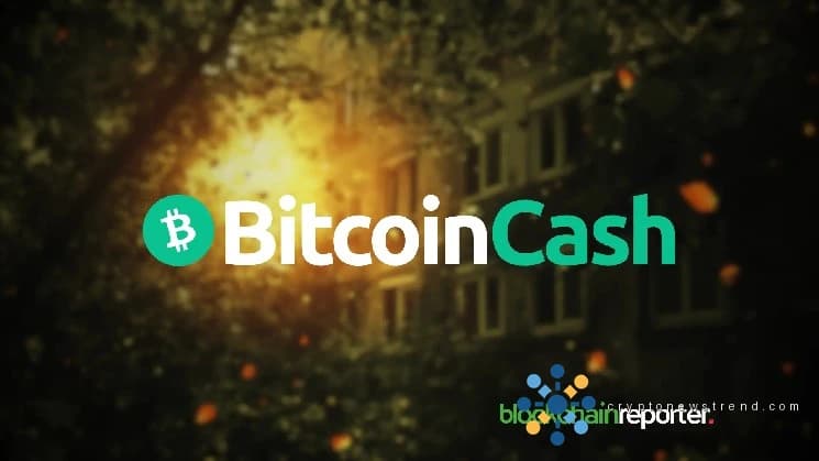 توفر شبكة Lava عملة Bitcoin Cash عبر الإنترنت من خلال بنية تحتية موثوقة لـ RPC