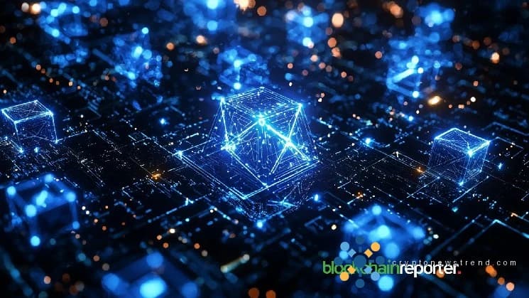 Only s'associe au protocole Anome, reliant le Launchpad Crypto aux utilitaires inter-chaînes DeFi
