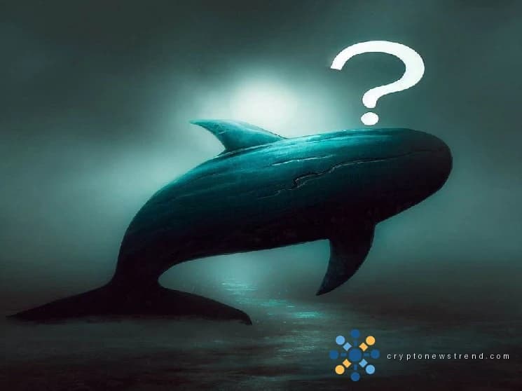 Während Bitcoin (BTC) von 65.000 $ fällt, geht die Walaktivität weiter: Long-Position in einem wichtigen Altcoin eröffnet, Short-Position in einem anderen eröffnet!