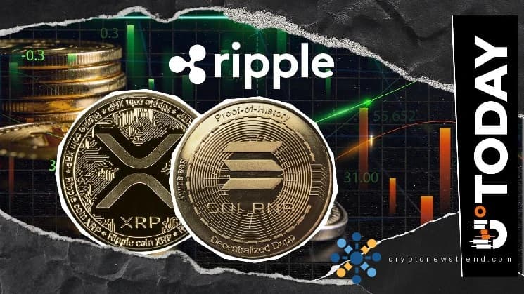 Ripple Developers React to Solana's XRP Post, Something to Watch Out For?