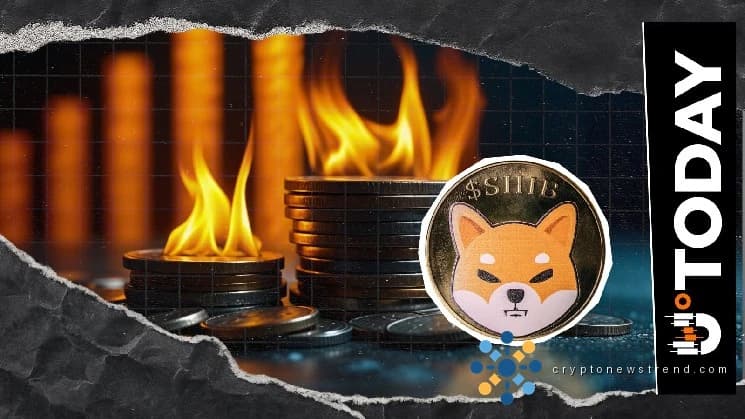Shiba Inu conserva la solidez de la red con un aumento del 405 % en la tasa de consumo