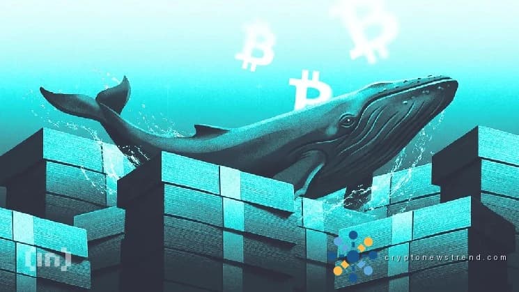 Qué están comprando y vendiendo las cripto ballenas cuando Bitcoin cayó por debajo de los $66,000