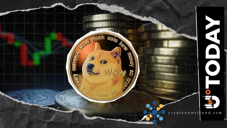 Doge Not Concerned with the Bear': Dogecoin ٹیم نے مارکیٹ کی خاموشی پر ردعمل ظاہر کیا۔